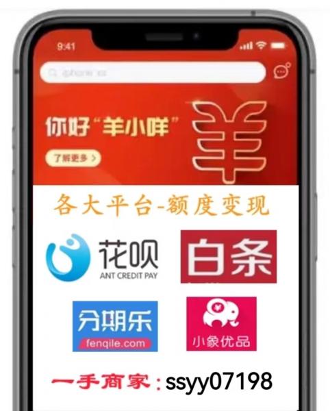 解读：羊小咩便荔卡怎么套现？合规方法是否靠谱？ 羊小咩 便荔卡提现 羊小咩变现 第1张