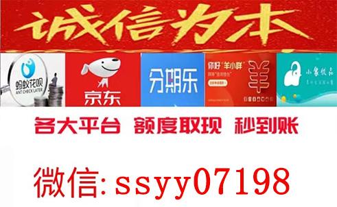 无需繁琐手续，想分付套现就马上实现！ 微信分付 第1张