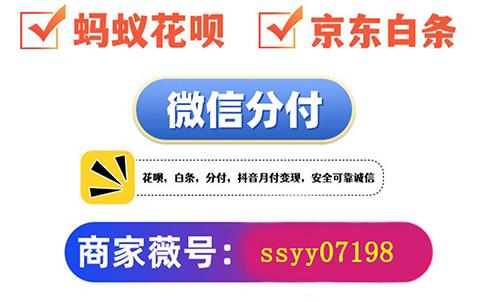 分期轻松搞定，微信分期提前还款任意门 微信分付 第1张