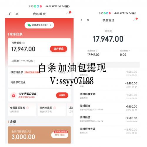 京东白条额度支付给商家提现秒回模式，这个方法很靠谱，最新店铺推荐！ 京东白条 第3张