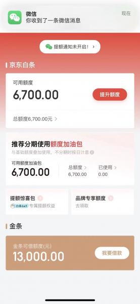 京东白条取现怎么取现不了是何原因？求解释