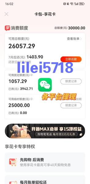 ​羊小咩6000购物额度怎么套？实用技巧大公开！ 羊小咩 第2张