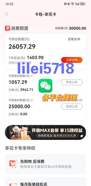 ​轻松变现羊小咩便荔卡消费额度：2024 实用教程 羊小咩便荔卡 第2张