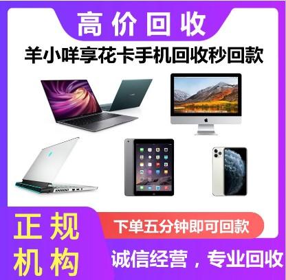 羊小咩的钱怎么套最简单？这里有答案！