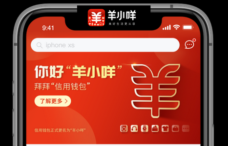  羊小咩额度怎么回收变现？学会这几点便荔卡轻松提现秒回！
