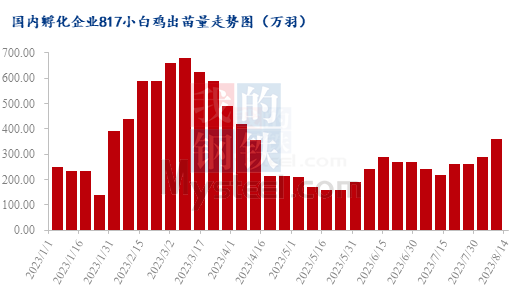 肉鸡各品种出苗量增减不一，苗价能否走向同步？ 第2张