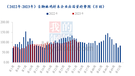 肉鸡各品种出苗量增减不一，苗价能否走向同步？ 第3张