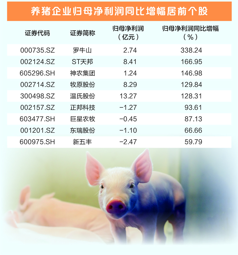 生猪养殖业大面积扭亏 多家龙头企业净利润增幅超100% 第1张